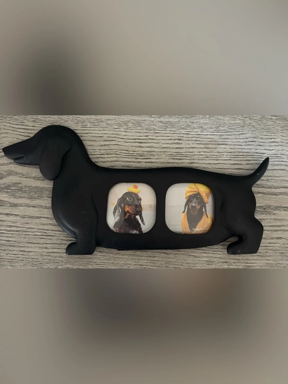 New Dachshund Dog Picture Frame